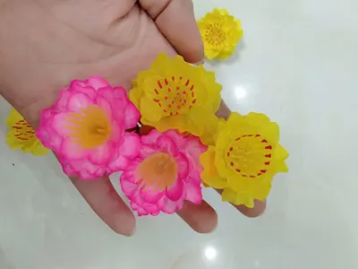 Đào rời size thường