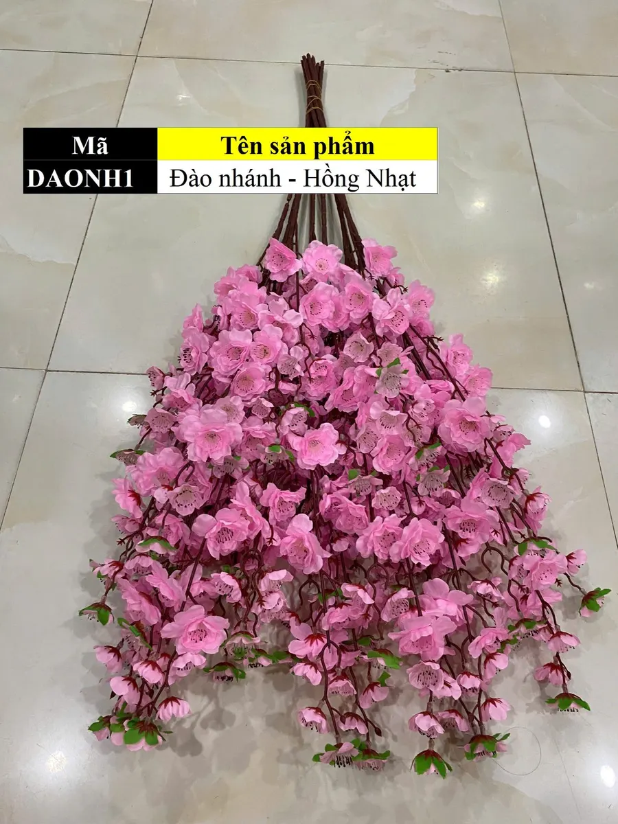 Đào nhánh - Hồng Nhạt