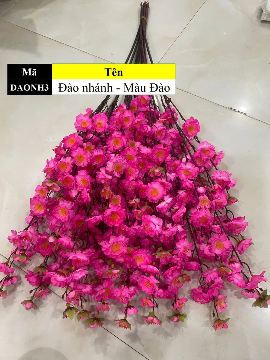 Đào nhánh - Màu Đào