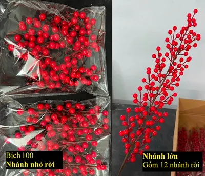 Đào Đông Cành 12 Nhánh (Thùng 100)