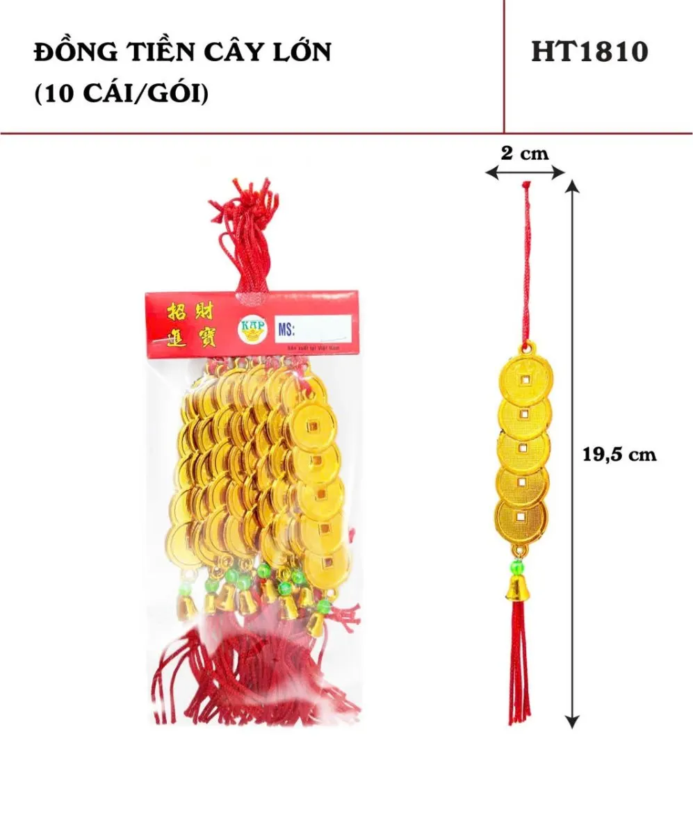 ĐỒNG TIỀN CÂY LỚN
