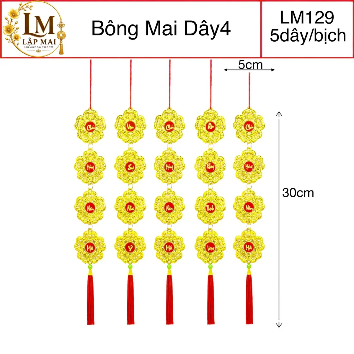 BÔNG MAI DÂY 4