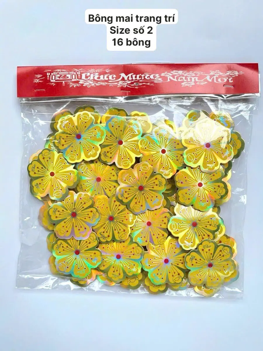 Mai 3D - Size số 2