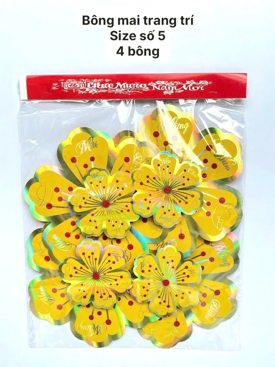 Mai 3D - Size số 5