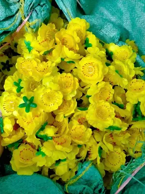 Mai rời size thường