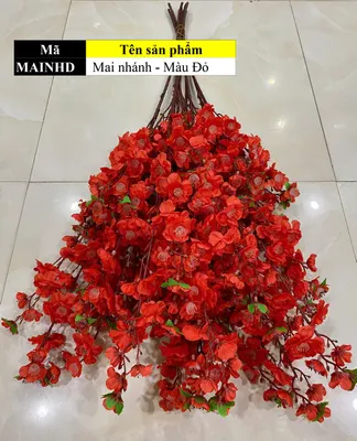 Mai nhánh - Màu Đỏ