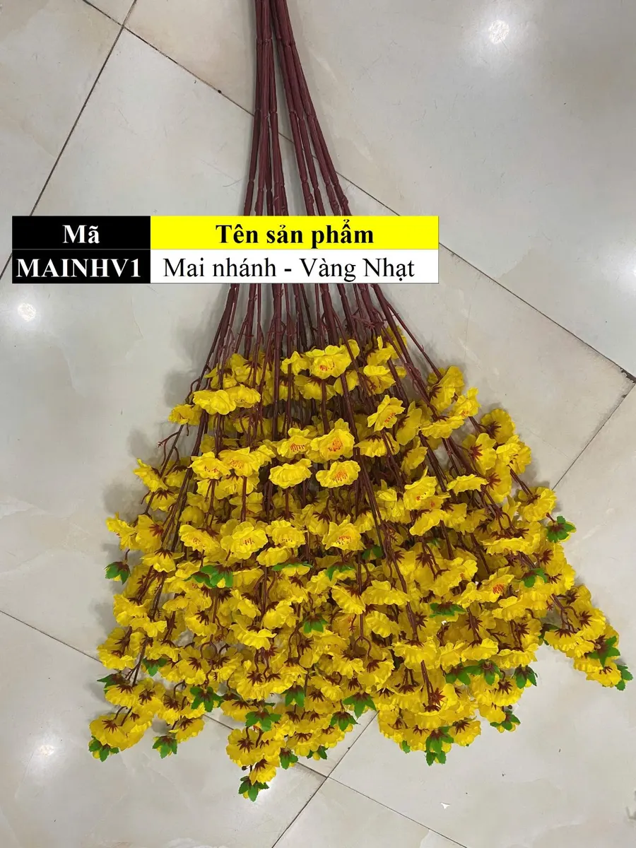 Mai nhánh - Vàng Nhạt