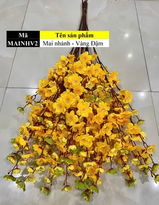Mai nhánh - Vàng Đậm
