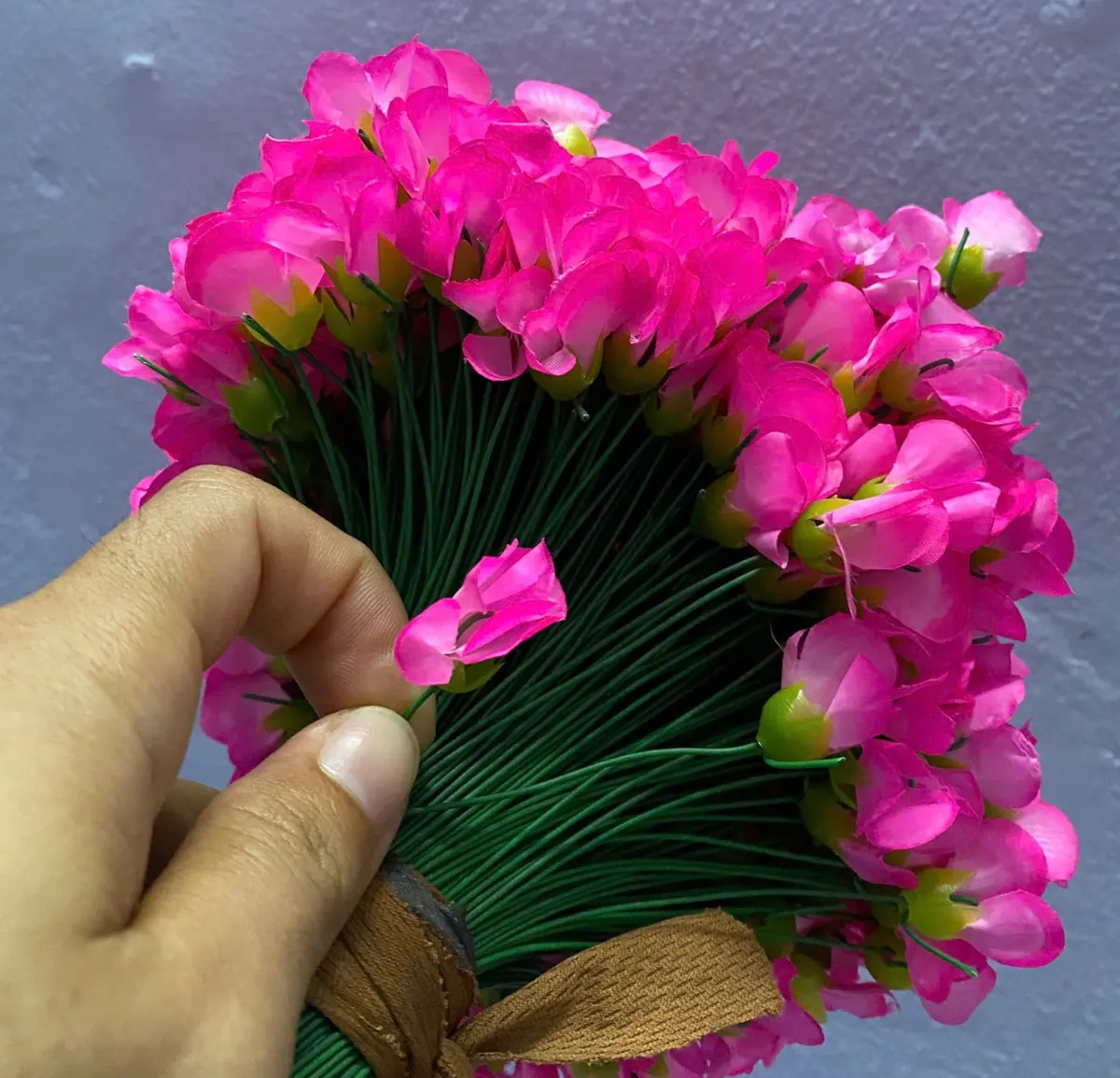 NỤ HÉ (Hoa đào)
