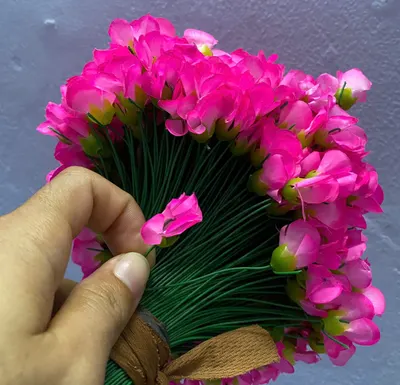 NỤ HÉ (Hoa đào)
